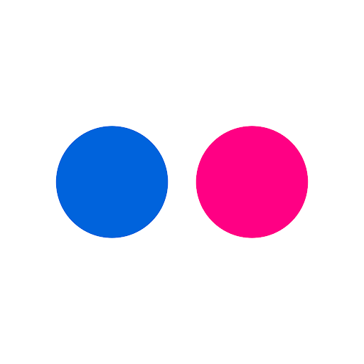 Flickr Gallery